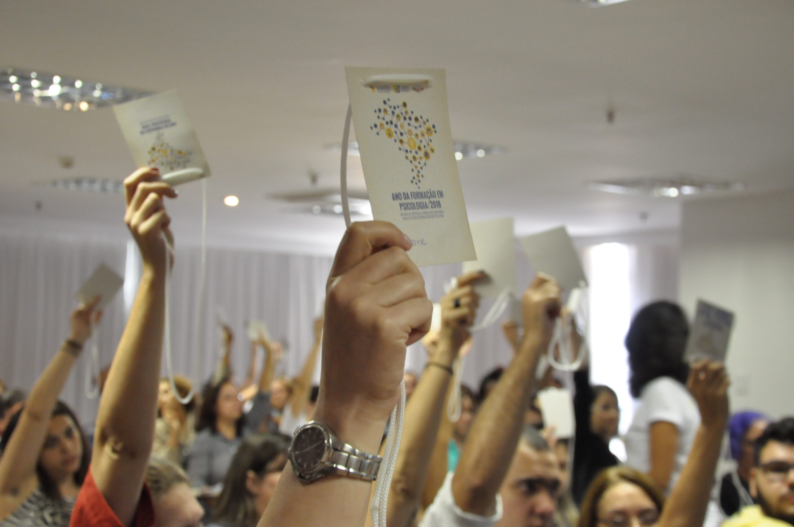 Fenapsi na luta em favor da construção coletiva das DCNs